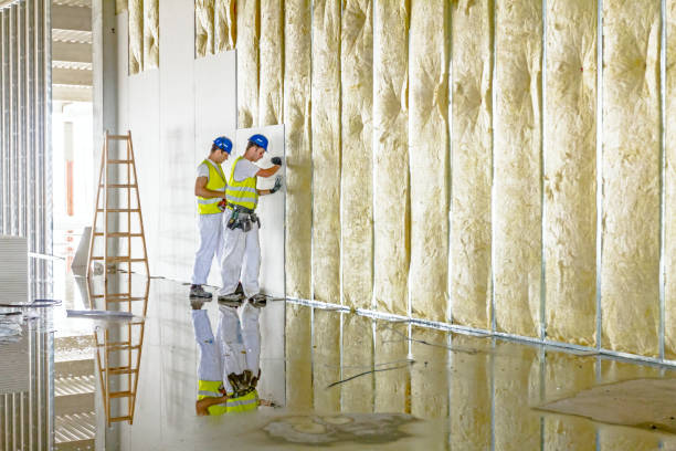 Best Geographic-Specific Insulation Services in Santa Clara, CA